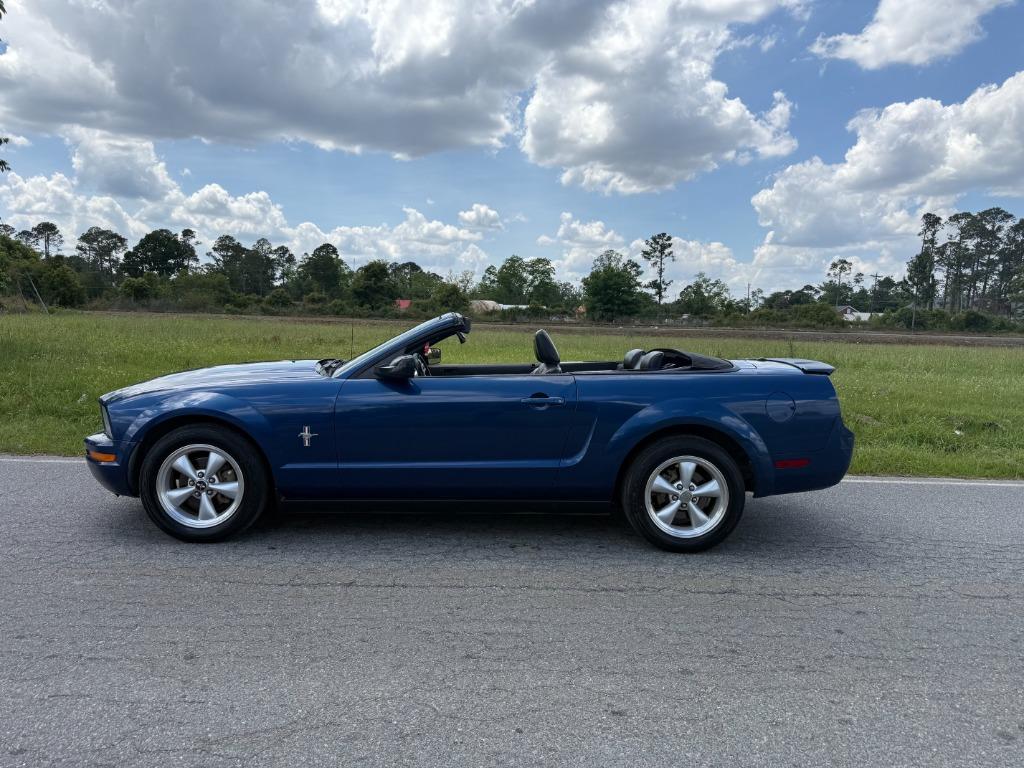 2008 Ford Mustang's photo